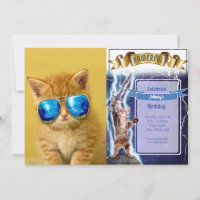 Cool Kitten in sunglasses