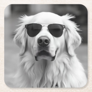 Cool Labrador with Sunglasses – Funny Dog Design Square Paper Coaster
