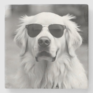 Cool Labrador with Sunglasses – Funny Dog Design Stone Coaster