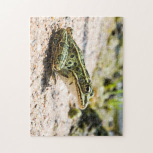 Cool Leopard Frog Jigsaw Puzzle
