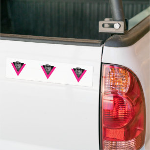 Cool Lion Bumper Sticker