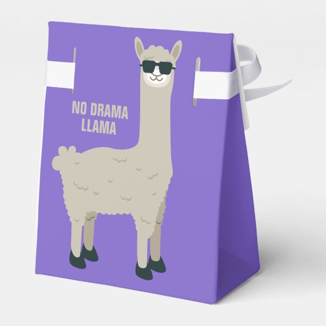 Cool Llama custom name & colour favour bag Box (Back Side)