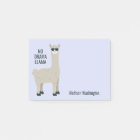 Cool Llama custom name & colour notes