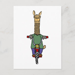 Cool Llama Riding Bicycle Cartoon Postcard