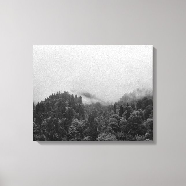 Cool, magical foggy nature canvas print (Front)