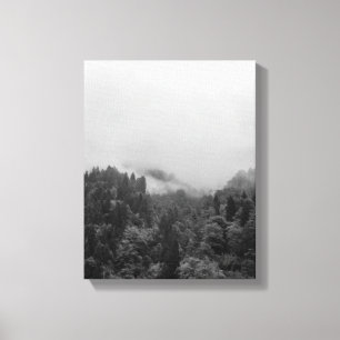 Cool, magical foggy nature canvas print