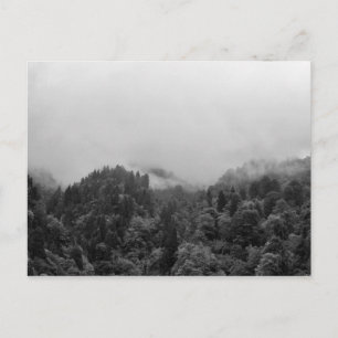 Cool, magical foggy nature postcard