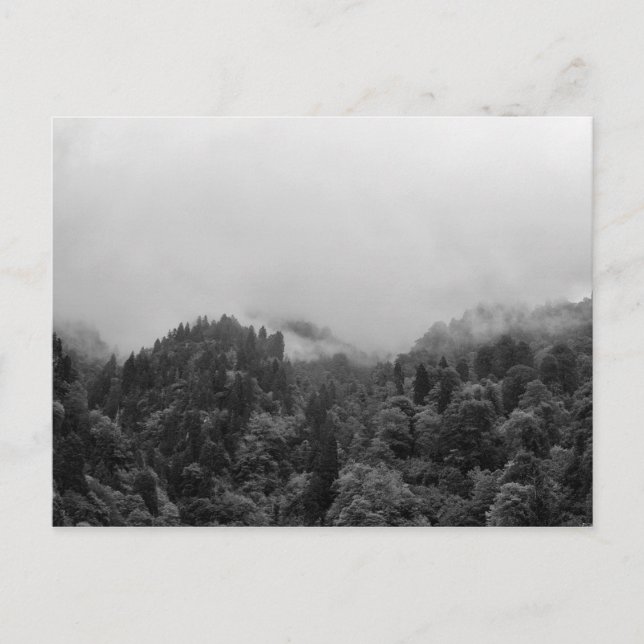 Cool, magical foggy nature postcard (Front)