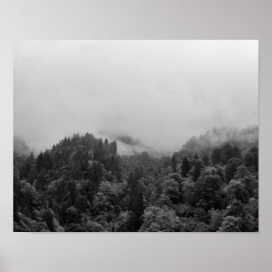 Cool, magical foggy nature poster