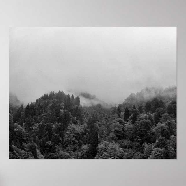 Cool, magical foggy nature poster (Front)