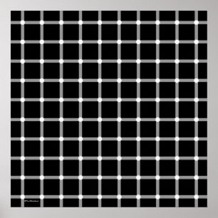 Cool Modern Black and White Optical Illusion Art Poster