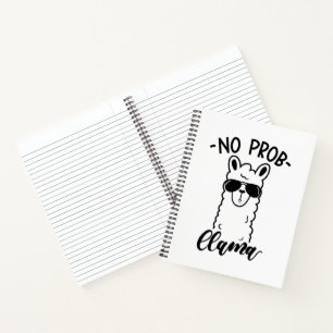 Cool No Prob Llama Notebook