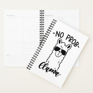Cool No Prob Llama Planner