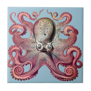 Cool octopus tile