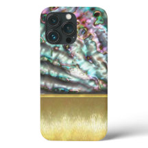Cool Oil and Water Abalone Shell design