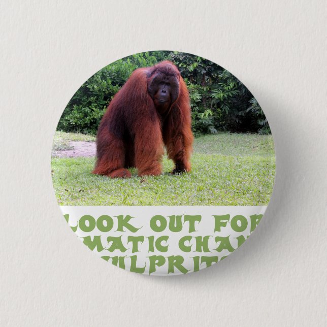cool Orangutan designs 6 Cm Round Badge (Front)