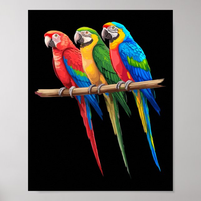 Cool Parrot Art For Men Women Girls Parrot Bird Lo Poster (Front)