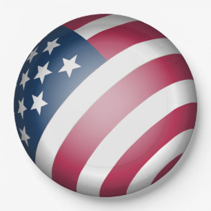Cool Patriotic United States of America Flag Globe Paper Plate