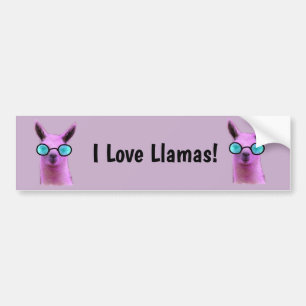Cool Pink Llama! Bumper Sticker