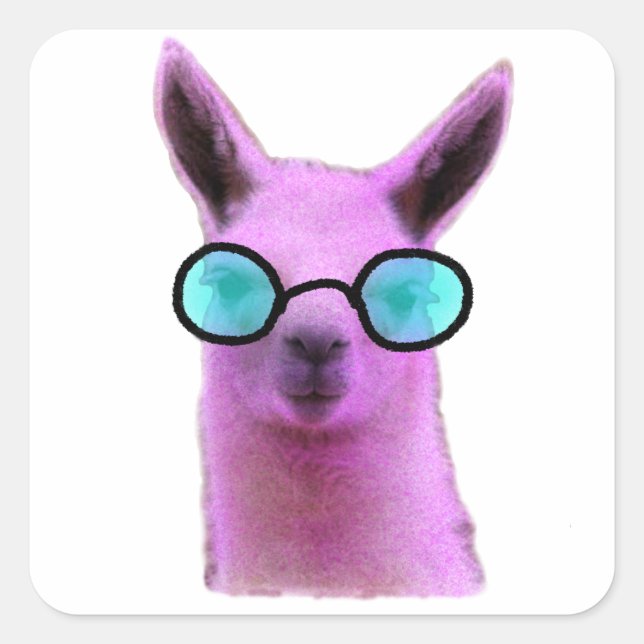 Cool Pink Llama! Square Sticker (Front)