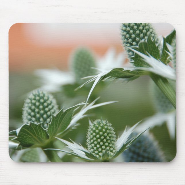 Cool Plant Mousepad (Front)