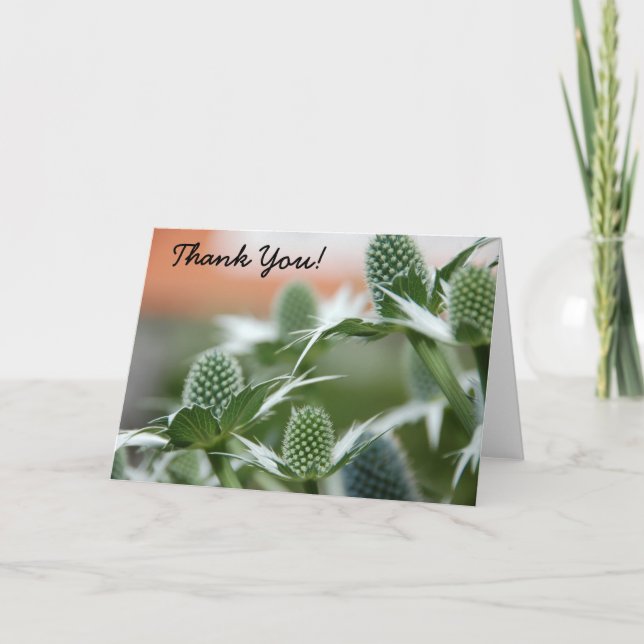 Cool Plant Thank You Card (Front)