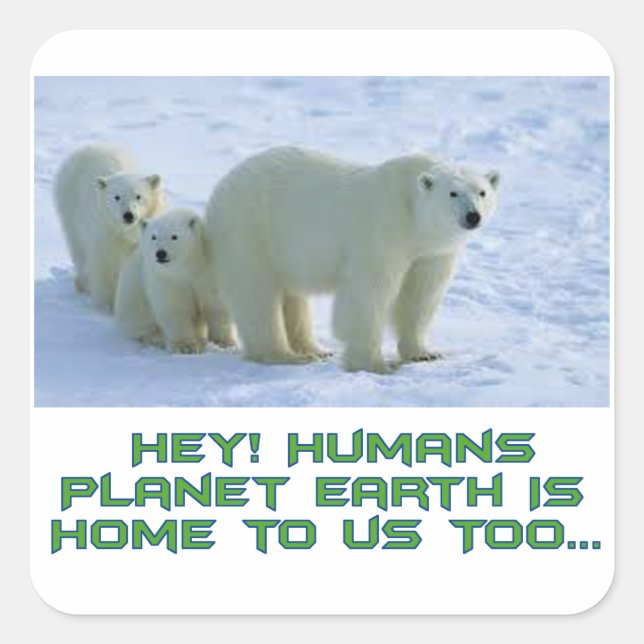 cool polar bear designs square sticker (Front)