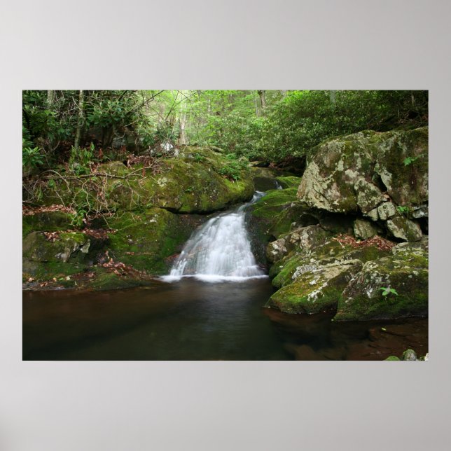 Cool Pool Poster (Front)