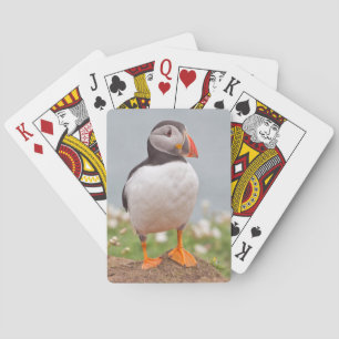 Cool Puffin Playing Cards