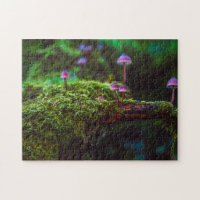 Cool Purple Fungi Rainforest Moss Mushrooms