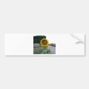 Cool Retro Trendy Hakuna Matata Gifts Sunflower de Bumper Sticker