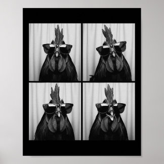 Cool Rooster Wearing Sungles Funny Photobooth Chic Poster
