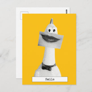 Cool Rubber Chicken Postcard