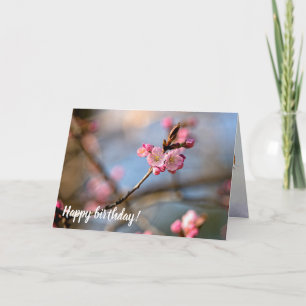 Cool Sakura Flowers Against The Grey Background Card