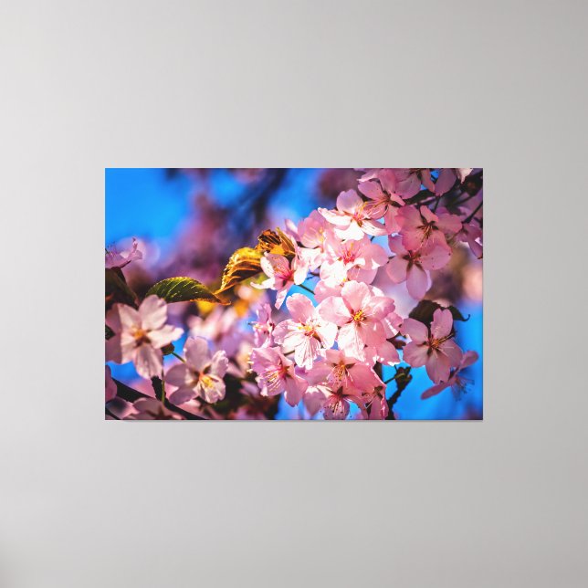 Cool Sakura Garland Canvas Print (Front)