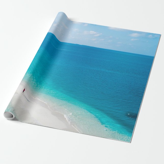 Cool Sea Animals Wrapping Paper (Unrolled)