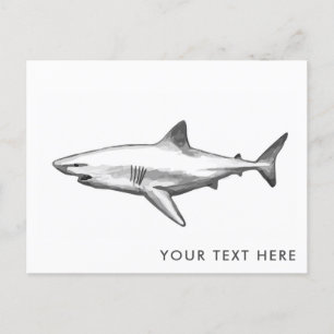 Cool Shark Postcard