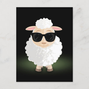 Cool Sheep Postcard