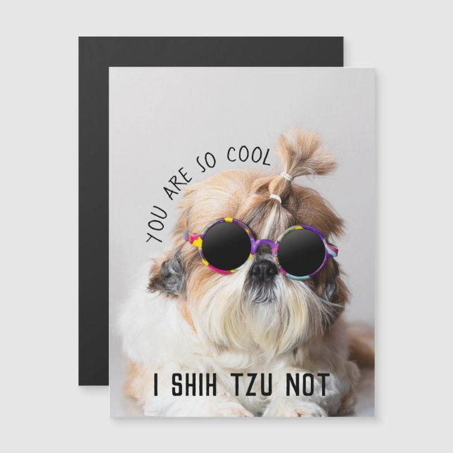 Cool Shih Tzu Not fun cute Sunglasses Photo (Front/Back)