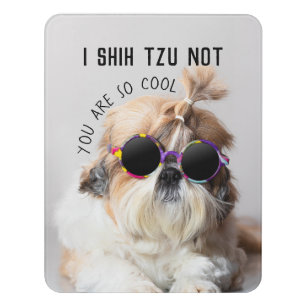 Cool Shih Tzu Not fun cute Sunglasses Photo Door Sign
