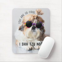 Cool Shih Tzu Not fun cute Sunglasses Photo