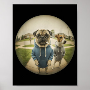 Cool smoking pug dog meme porch fisheye peephole poster