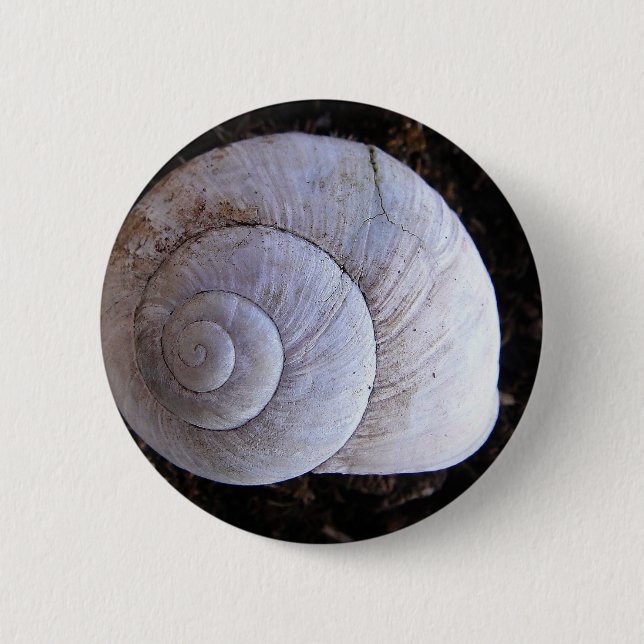 Cool snailshell 6 cm round badge (Front)
