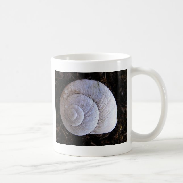 Cool snailshell coffee mug (Right)