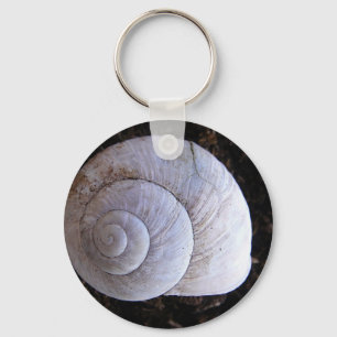 Cool snailshell key ring