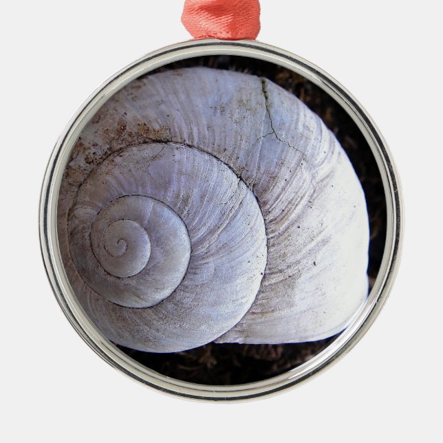 Cool snailshell metal tree decoration (Front)