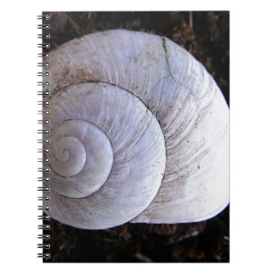 Cool snailshell notebook