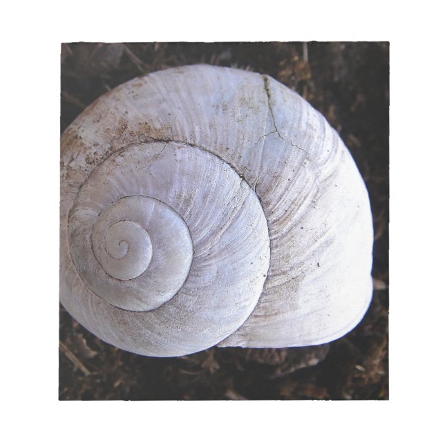 Cool snailshell notepad (Front)