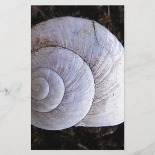 Cool snailshell stationery