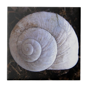 Cool snailshell tile